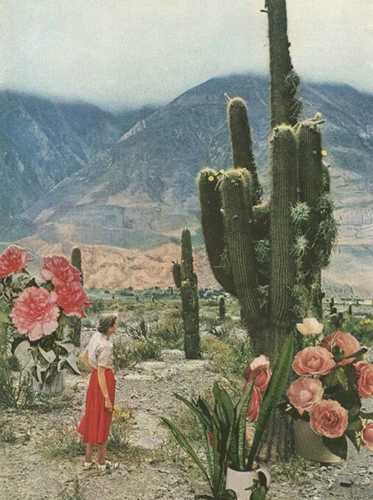 This image has an empty alt attribute; its file name is img7.jpg